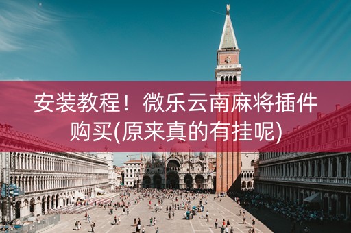 安装教程！微乐云南麻将插件购买(原来真的有挂呢)