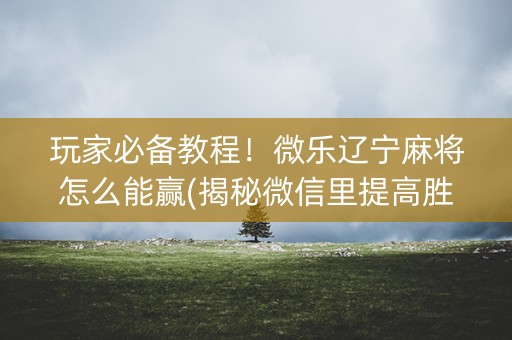 玩家必备教程！微乐辽宁麻将怎么能赢(揭秘微信里提高胜率)