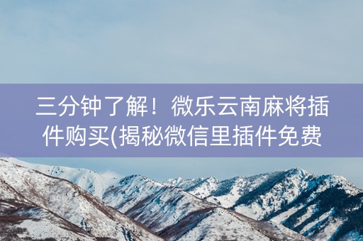 三分钟了解！微乐云南麻将插件购买(揭秘微信里插件免费)