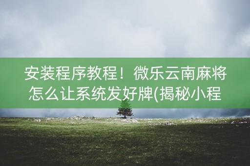 安装程序教程！微乐云南麻将怎么让系统发好牌(揭秘小程序辅牌器)