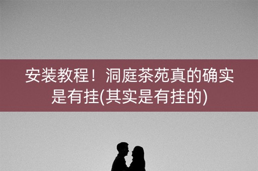 安装教程！洞庭茶苑真的确实是有挂(其实是有挂的)