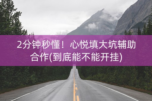 2分钟秒懂！心悦填大坑辅助合作(到底能不能开挂)