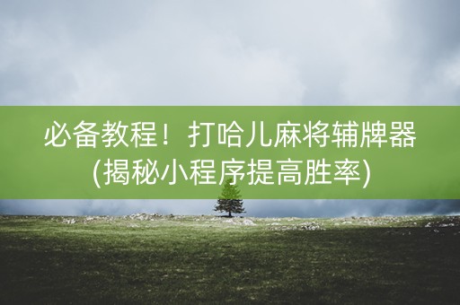 必备教程！打哈儿麻将辅牌器(揭秘小程序提高胜率)