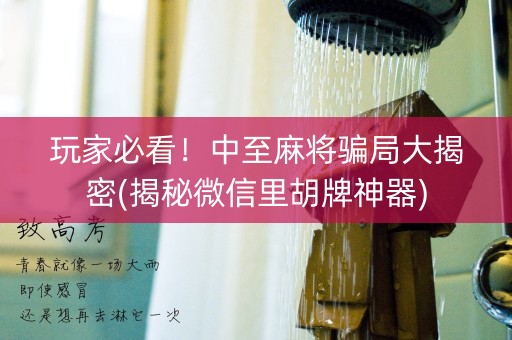 玩家必看！中至麻将骗局大揭密(揭秘微信里胡牌神器)