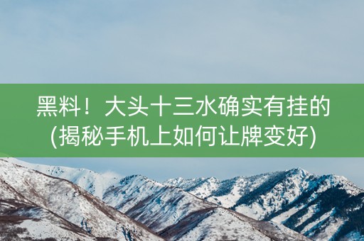 黑料！大头十三水确实有挂的(揭秘手机上如何让牌变好)