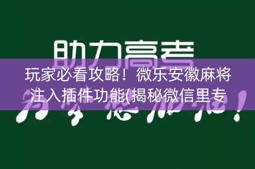 玩家必看攻略！微乐安徽麻将注入插件功能(揭秘微信里专用神器)