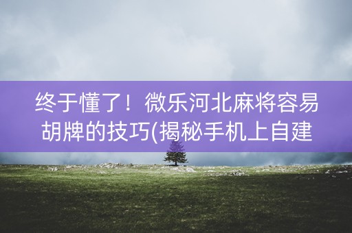 终于懂了！微乐河北麻将容易胡牌的技巧(揭秘手机上自建房怎么赢)