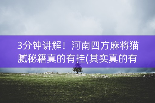3分钟讲解！河南四方麻将猫腻秘籍真的有挂(其实真的有挂)