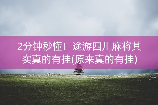2分钟秒懂！途游四川麻将其实真的有挂(原来真的有挂)