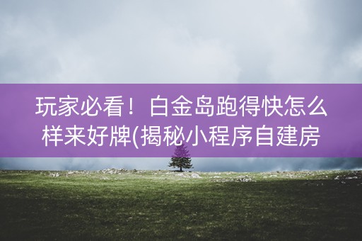 玩家必看！白金岛跑得快怎么样来好牌(揭秘小程序自建房怎么赢)