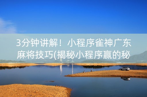 3分钟讲解！小程序雀神广东麻将技巧(揭秘小程序赢的秘诀)