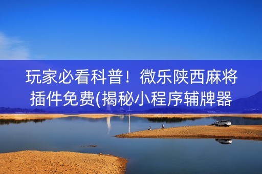 玩家必看科普！微乐陕西麻将插件免费(揭秘小程序辅牌器)