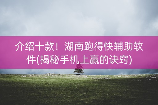 介绍十款！湖南跑得快辅助软件(揭秘手机上赢的诀窍)