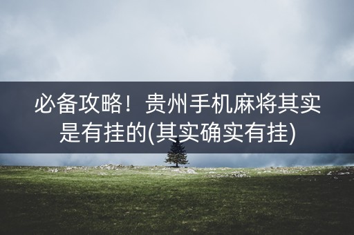 必备攻略！贵州手机麻将其实是有挂的(其实确实有挂)