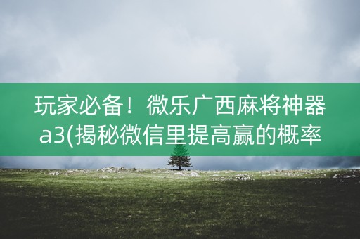 玩家必备！微乐广西麻将神器a3(揭秘微信里提高赢的概率)