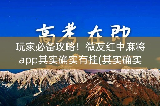 玩家必备攻略！微友红中麻将app其实确实有挂(其实确实有挂)
