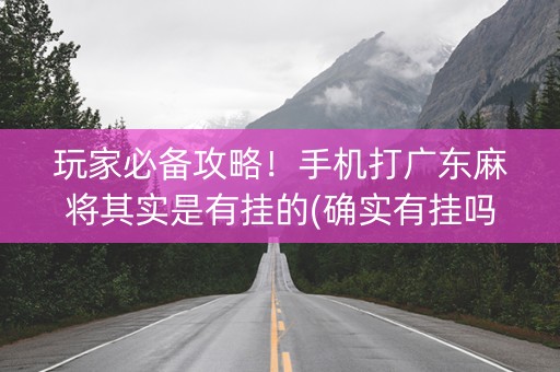 玩家必备攻略！手机打广东麻将其实是有挂的(确实有挂吗)