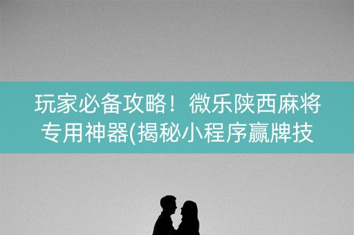 玩家必备攻略！微乐陕西麻将专用神器(揭秘小程序赢牌技巧)