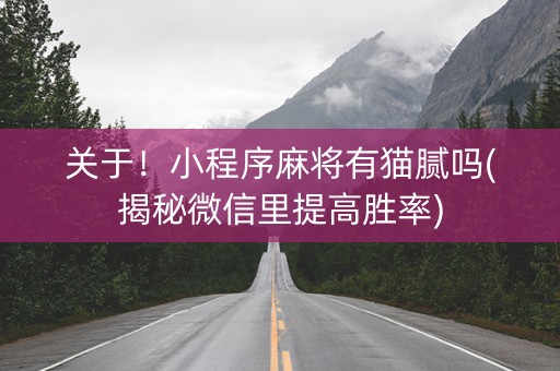 关于！小程序麻将有猫腻吗(揭秘微信里提高胜率)