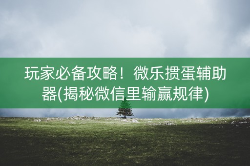 玩家必备攻略！微乐掼蛋辅助器(揭秘微信里输赢规律)