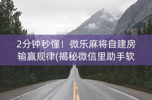 2分钟秒懂！微乐麻将自建房输赢规律(揭秘微信里助手软件)