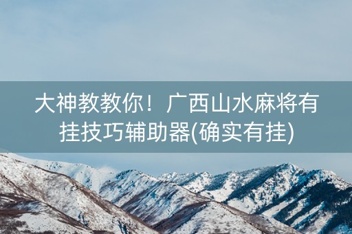大神教教你！广西山水麻将有挂技巧辅助器(确实有挂)