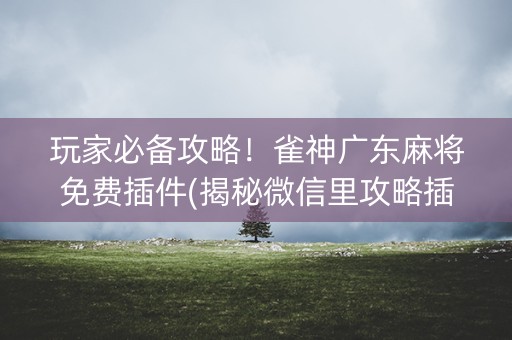 玩家必备攻略！雀神广东麻将免费插件(揭秘微信里攻略插件)