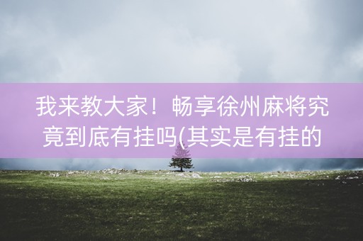 我来教大家！畅享徐州麻将究竟到底有挂吗(其实是有挂的)
