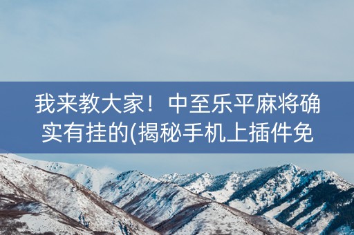 我来教大家！中至乐平麻将确实有挂的(揭秘手机上插件免费)