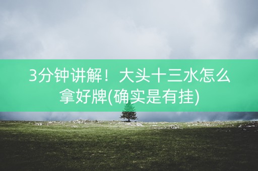 3分钟讲解！大头十三水怎么拿好牌(确实是有挂)