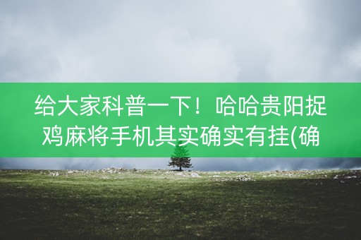 给大家科普一下！哈哈贵阳捉鸡麻将手机其实确实有挂(确实有挂吗)