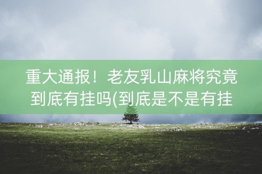 重大通报！老友乳山麻将究竟到底有挂吗(到底是不是有挂)