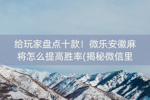 给玩家盘点十款！微乐安徽麻将怎么提高胜率(揭秘微信里专用神器)