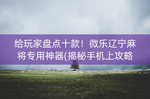 给玩家盘点十款！微乐辽宁麻将专用神器(揭秘手机上攻略插件)