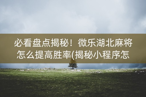必看盘点揭秘！微乐湖北麻将怎么提高胜率(揭秘小程序怎么容易赢)