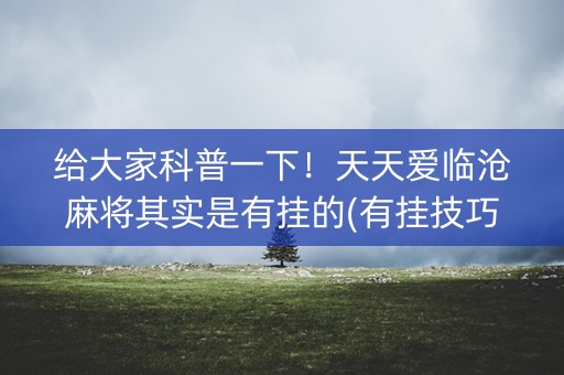 给大家科普一下！天天爱临沧麻将其实是有挂的(有挂技巧辅助器)