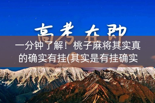 一分钟了解！桃子麻将其实真的确实有挂(其实是有挂确实有挂)