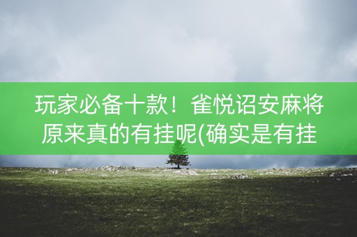 玩家必备十款！雀悦诏安麻将原来真的有挂呢(确实是有挂的)