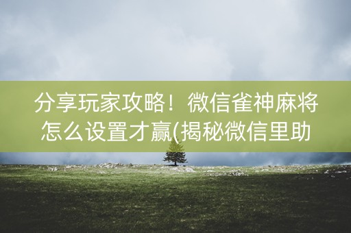 分享玩家攻略！微信雀神麻将怎么设置才赢(揭秘微信里助赢神器)
