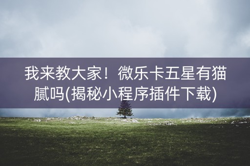 我来教大家！微乐卡五星有猫腻吗(揭秘小程序插件下载)