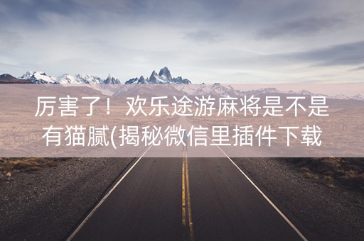 厉害了！欢乐途游麻将是不是有猫腻(揭秘微信里插件下载)