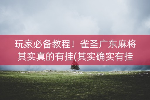 玩家必备教程！雀圣广东麻将其实真的有挂(其实确实有挂)