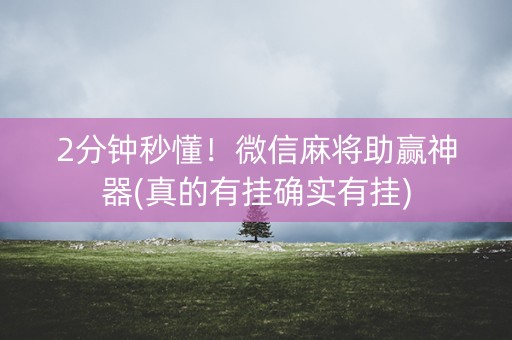 2分钟秒懂！微信麻将助赢神器(真的有挂确实有挂)