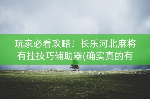 玩家必看攻略！长乐河北麻将有挂技巧辅助器(确实真的有挂)