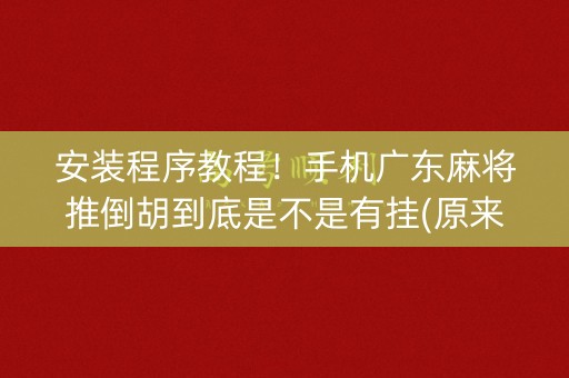 安装程序教程！手机广东麻将推倒胡到底是不是有挂(原来真的有挂)