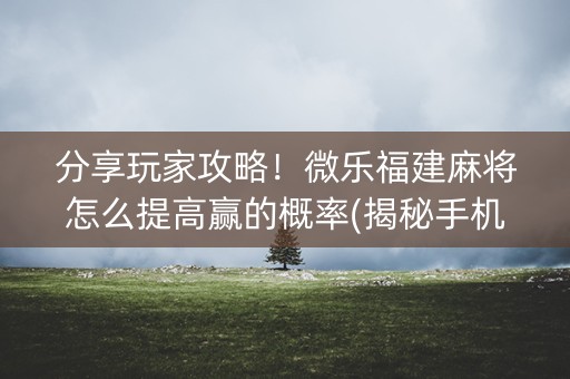 分享玩家攻略！微乐福建麻将怎么提高赢的概率(揭秘手机上胡牌技巧)