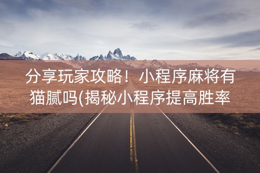 分享玩家攻略！小程序麻将有猫腻吗(揭秘小程序提高胜率)