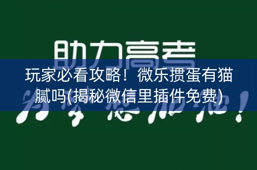 玩家必看攻略！微乐掼蛋有猫腻吗(揭秘微信里插件免费)