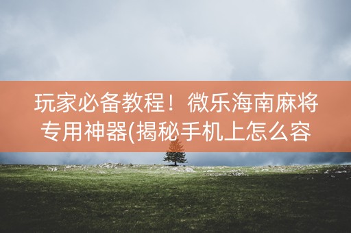 玩家必备教程！微乐海南麻将专用神器(揭秘手机上怎么容易赢)