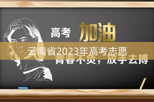 云南省2023年高考志愿